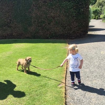 Its all about 1 team Rangers #WATP #GersFollowBack #GoingFor55 Love my Daughter Lily 17.07.16