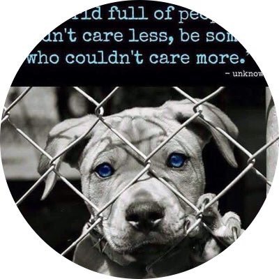 Universal love for all animals. Activism, advocacy, awareness, rights & welfare. A free voice. Love. Faith. Hope. Compassion. Peace. A rebel with a good cause.