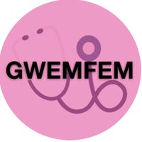 GWEMFEM (@gwemfem) 's Twitter Profile