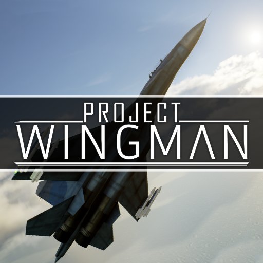 The developer for Project Wingman. Currently working on an arcade flight game Project Wingman and other things.
wingmangamedev@gmail.com