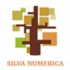 SILVA NUMERICA