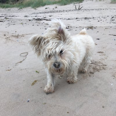 NatashaPoushkin's profile picture. 