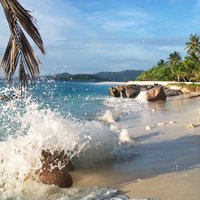 Cousine Island Seychelles (@cousine_island) 's Twitter Profile
