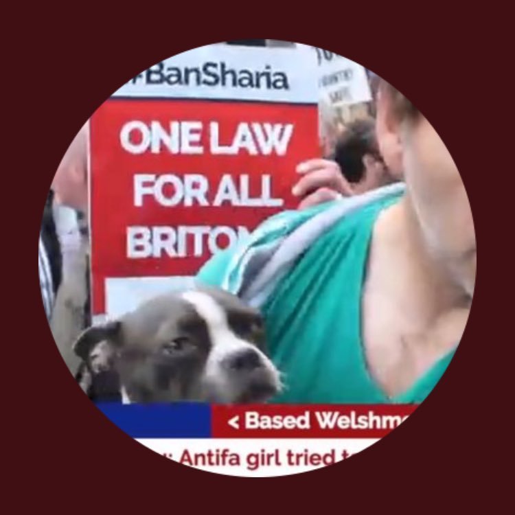 Citizen gonzo videographer I report what MSM won't.
#GroomDogsNotKids #GonzoJournalism #PureBlood💉
#UniteForFreedom #MSMareTheEnemyOfThePeople