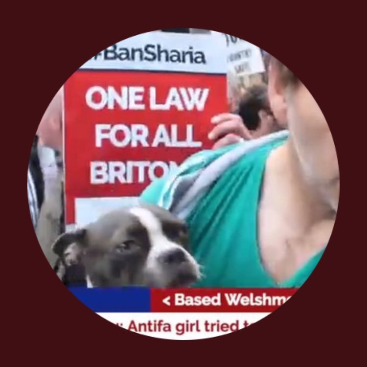 BasedWelshman1 Profile Picture