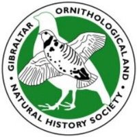 GONHS Gibraltar(@gonhsgib) 's Twitter Profile Photo GONHS Gibraltar(@gonhsgib) 's Twitter Profile Photo