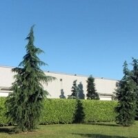 Euroflora SRL (@euroflora) 's Twitter Profile