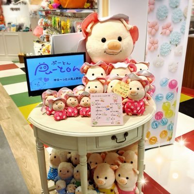 Nipopoららぽーと名古屋みなとアクルス店 しーぷんお誕生日おめでとう Nipopo ららぽーと名古屋みなとアクルス 休業中 しーぷん