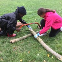 Scientia Forest School(@ForestScientia) 's Twitter Profile Photo