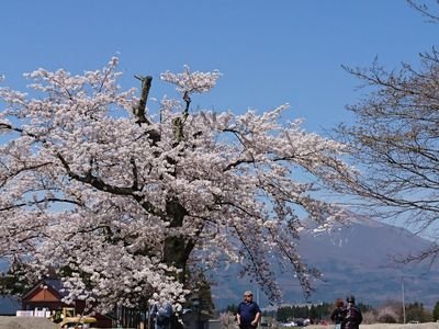 歴史好きです  関東甲信越奥州に出没します