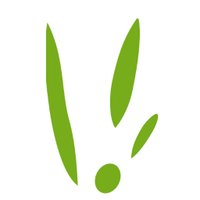 Fundación Cema (@fundacioncema) 's Twitter Profile