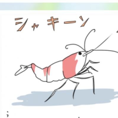 ブセファランドラとホマロメナ&レッドビーも好きです🌱🦐 ブセとホマの実生もやってます🌾 まだ見ぬカッコいいブセの作出頑張ってます!
そしてネコ吸いです。