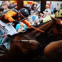 The Horse Watchers(@Horsewatchers1) 's Twitter Profile Photo