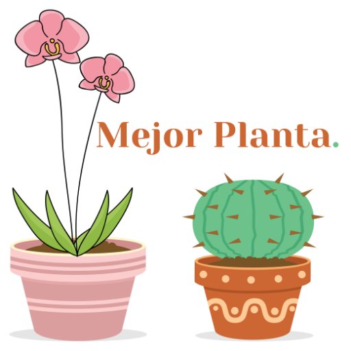 Somos amantes de las plantas, queremos saberlo todo sobre ellas y compartirlo con los demás! Toda la info aquí:
https://t.co/bWeUxyUGPH