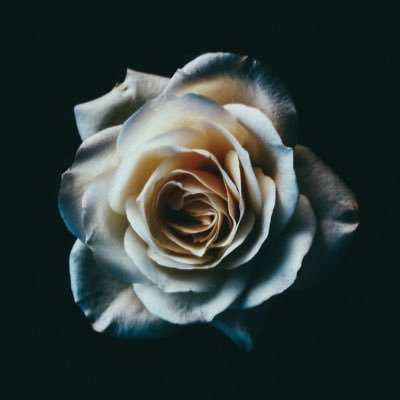 m95083246's profile picture. 