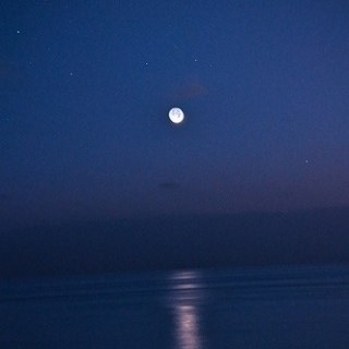 shessooounusual's profile picture. 