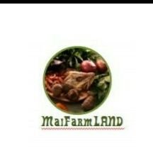 Distribution of locally grown crops to International market to create financial Stability for farmers. Email: info@maifarmland.com.ng
Enq: +2348118050813