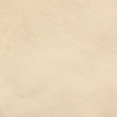 kanachun___'s profile picture. 