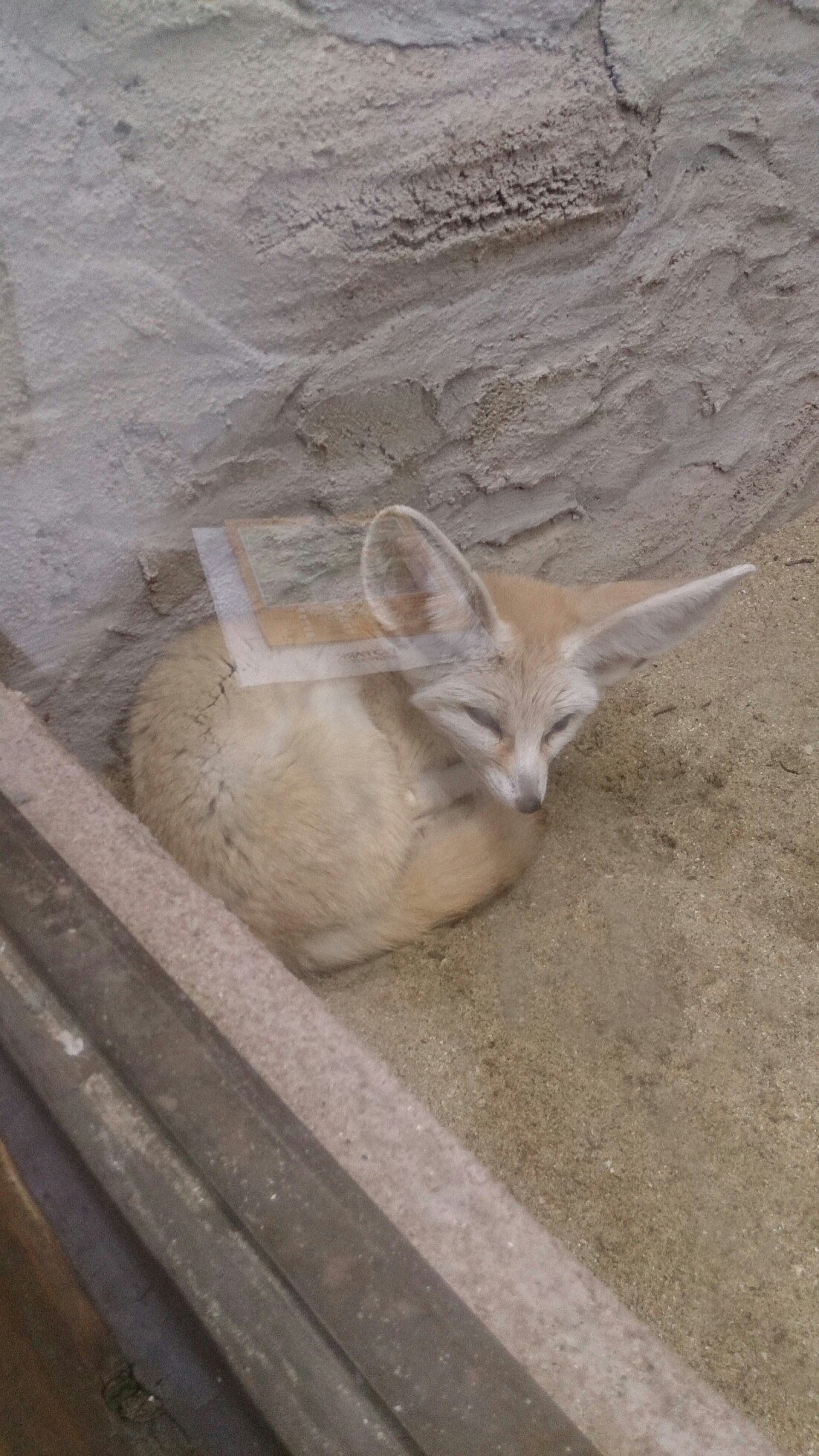 田中一号さんのプロフィール画像