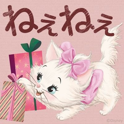 AXS大好き❤️猫好きですぅ～🎵