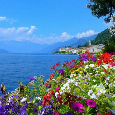 Ελενη 💙 Profile
