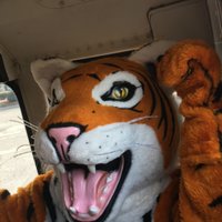 AES Tigers (@aestigers1) 's Twitter Profile