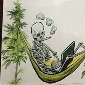 just a silly stoner skeleton dont get mad its just jokes