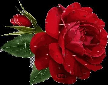 AmitYad28834704's profile picture. 