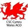 Representing Cricket Umpires and Scorers across Wales