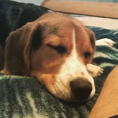 lusbyjoe's profile picture. 