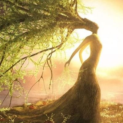 jose_marsilla's profile picture. Televisión Televisión Música