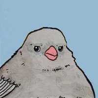 OMalley (@omalley84) 's Twitter Profile Photo