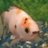 MustachioedF's avatar