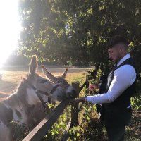 Elliott Mackinnon (@elliott9mack) 's Twitter Profile