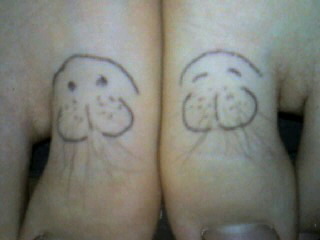 q3co's profile picture. 人生はドラマ。唯一の楽しみは海外旅行＋写真。バイク(中型だけど)とコーラス(アルトだけど)はしばらく休憩中。ちょっとだけ出来るスポーツはスキー。愛車はカプチーノ。中国の大河ドラマが好き。