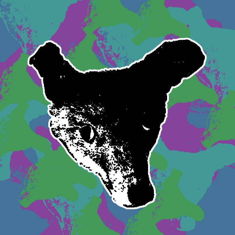 WigglyFox's profile picture. I do dumb things in video games.