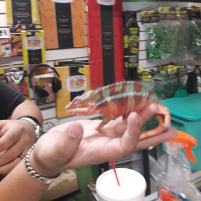 Los estúpidos causan ronchas.
#síguemeYtesigo sin falta de inmediato