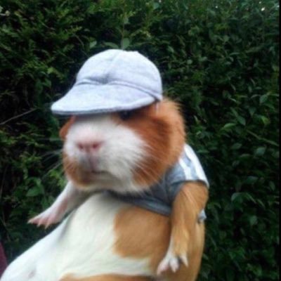 Krispy Memes Boiさんのプロフィール画像