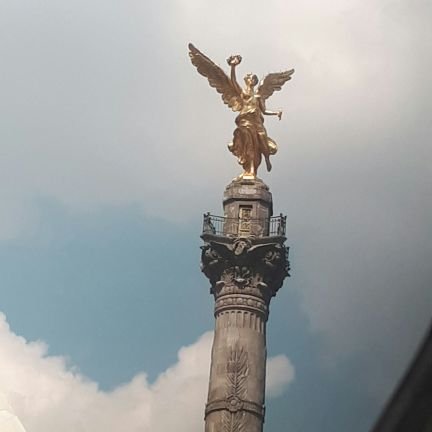 DpDragones's profile picture. Dedicados al comercio ,  logistica y Transporte desde chile para america latina