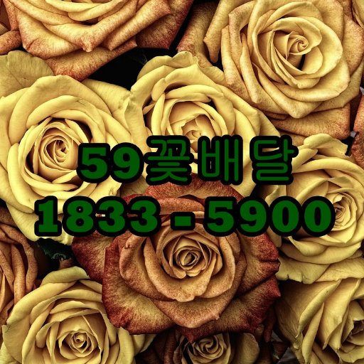 개업축하화분 개업화분배달 정기꽃배달 장례식장화환 59꽃배달 주문전화 1833 - 5900 홈페이지 : https://t.co/5kKhwgcXcX 전국 당일3시간배송! 꽃으로 고객을 행복하게 59꽃배달 서비스입니다.