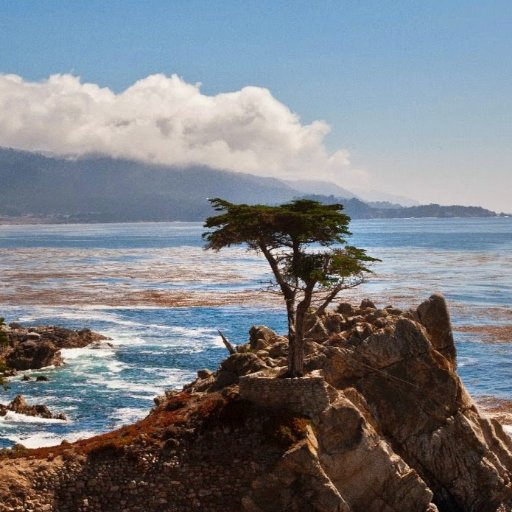 jeffrymcgee's profile picture. 