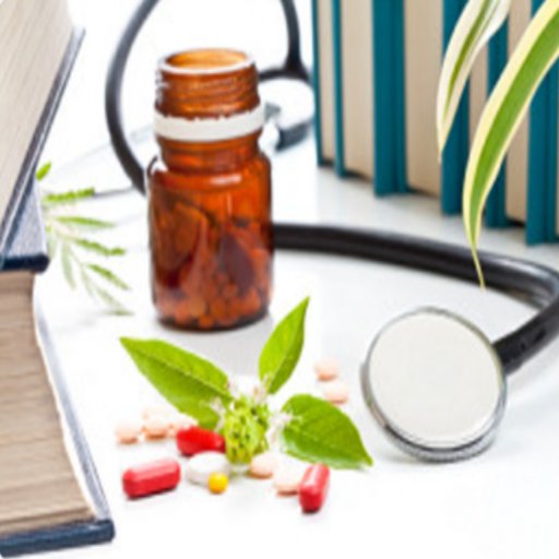 The BSIO facilitates communication, provides resources for education, and disseminates research and evidence to promote effective holistic care