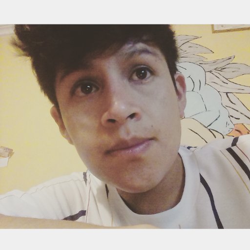 JhonnyXPatric's profile picture. soy una comedia romántica, sólo que no hay romance y me río de mis estupideces.
Ingeniería Electrónica Industrial y Automática
• Aütomatronic