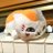 えめこ