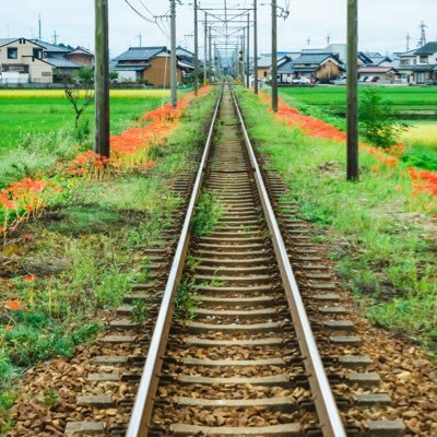 yana24774723's profile picture. 