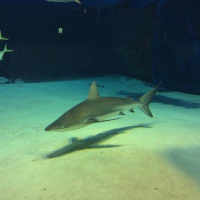 35same35's profile picture. 