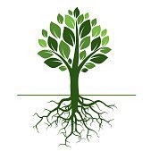 Pengam’s Green Machine (@pengam_eco) 's Twitter Profile