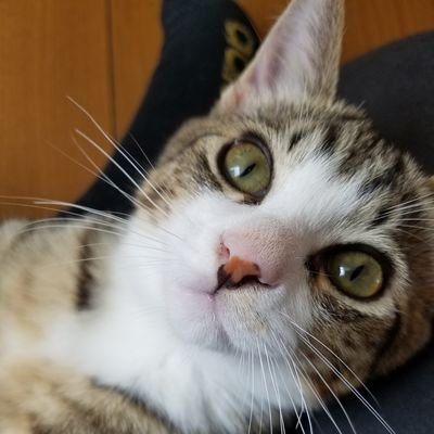 AdmulTNAn7peb3l's profile picture. 