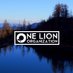 One Lion 🐾 (@OneLion_org) Twitter profile photo