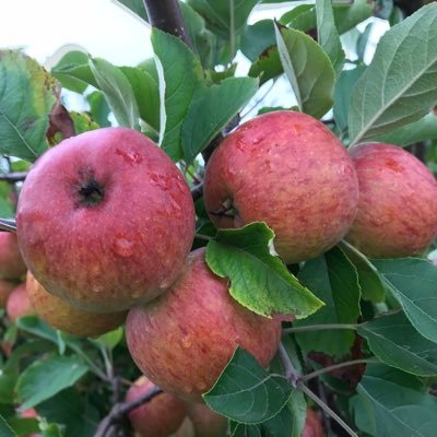 The Royal Horticultural Society's Fruit, Vegetable and Herb Committee